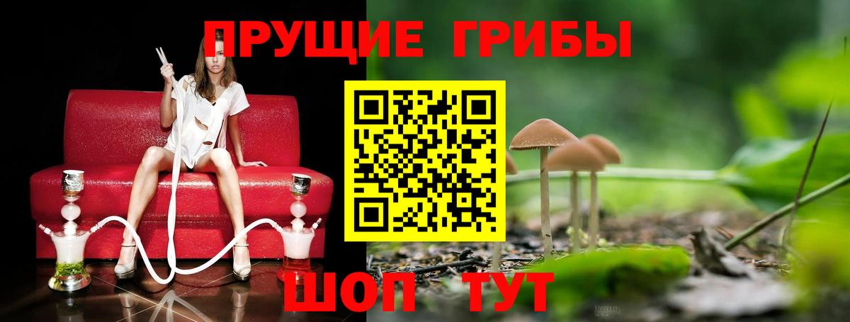 Соликамск  купить закладку  Вход с VPN  Галлюциногенные грибы мухоморы  Псилоцибиновые грибы Psilocybe 