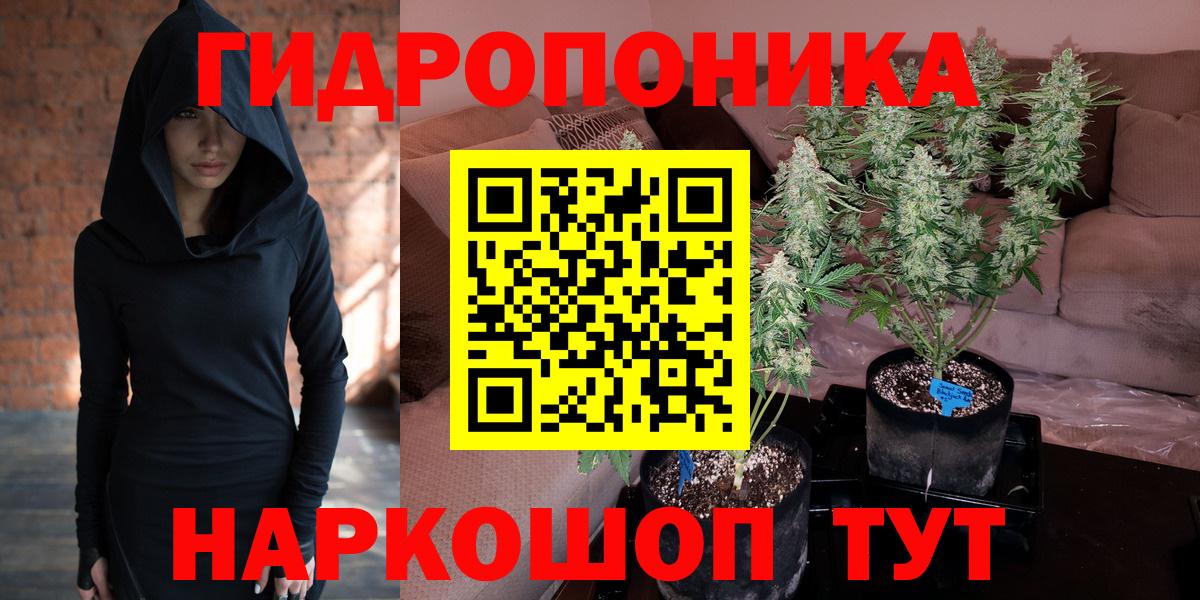 Соликамск  Конопля VHQ  МАРИХУАНА планчик  Каннабис конопля  Вход с VPN 